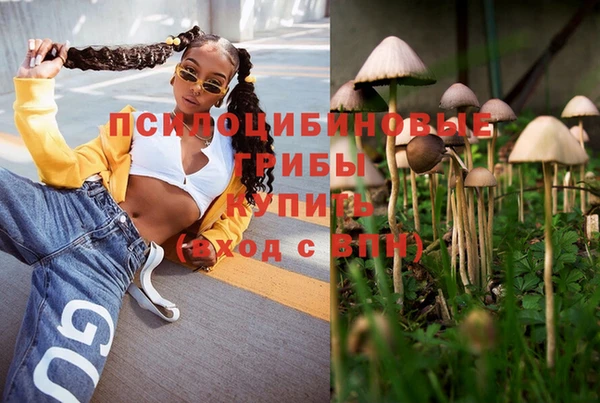 мдпв Белокуриха