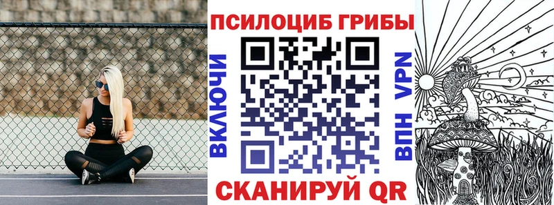 Галлюциногенные грибы ЛСД  дарнет шоп  Воскресенск 