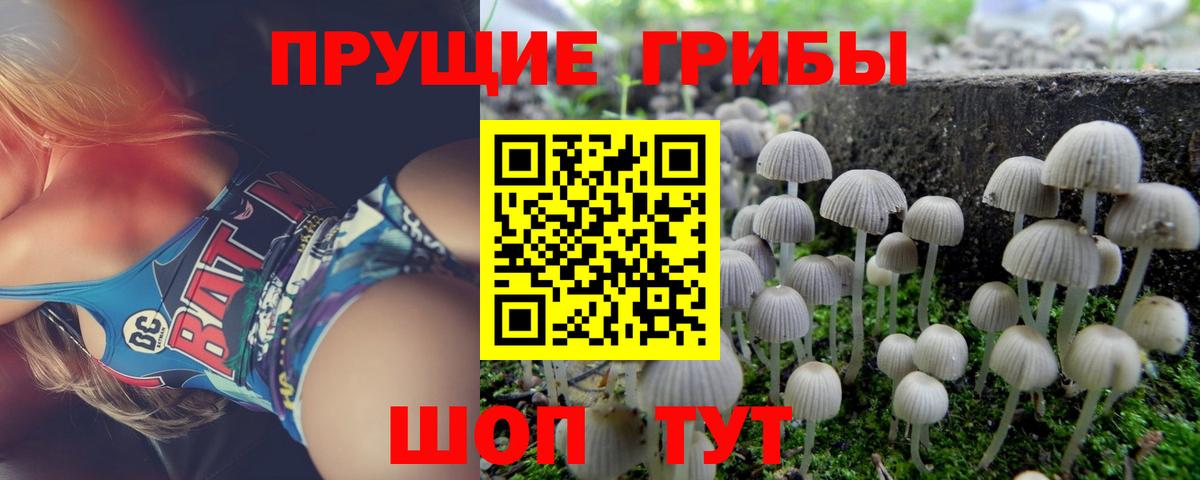 где продают   Псилоцибиновые грибы мицелий  Вход с VPN  Воскресенск 